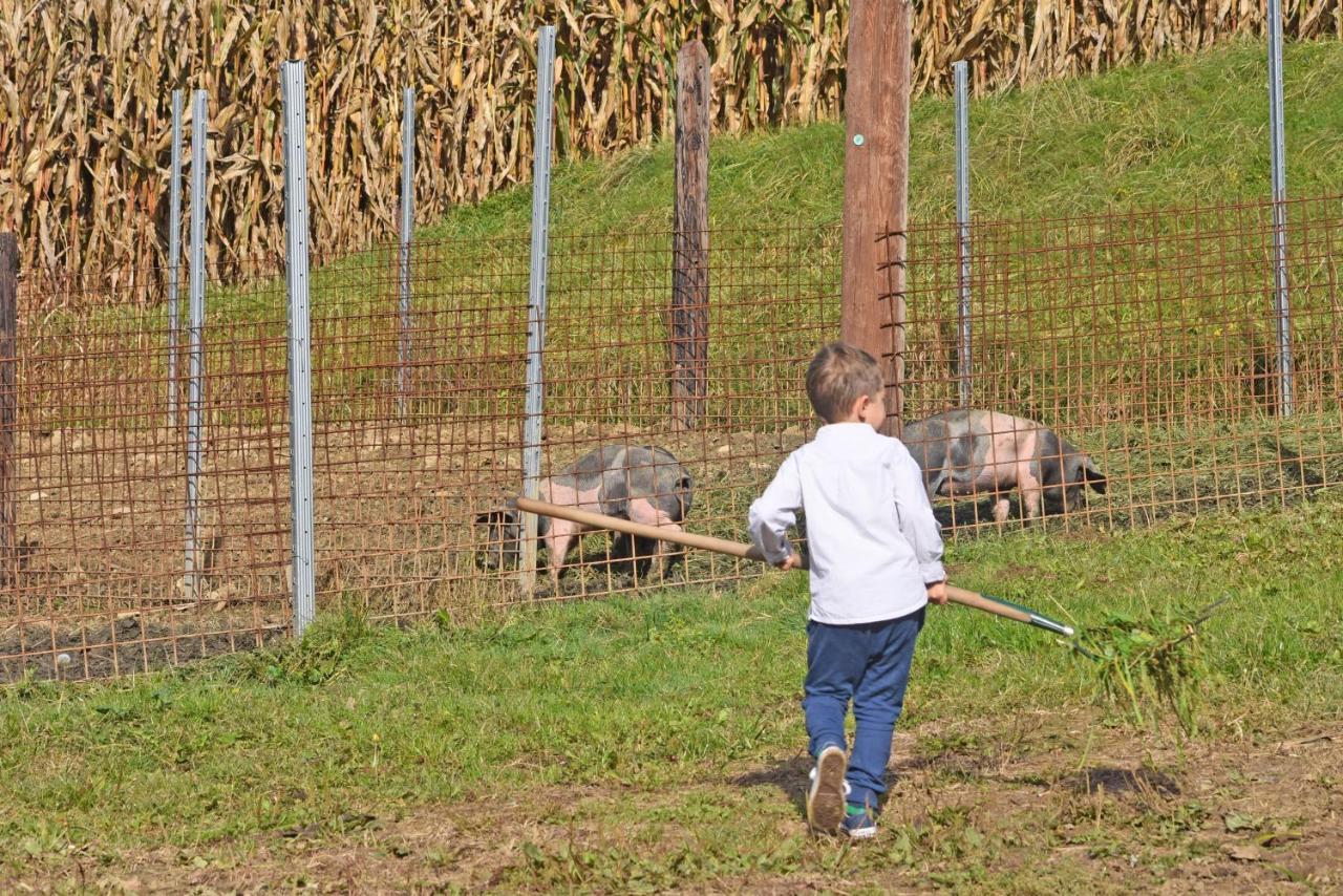 Am Jaukhof Familie Stiendl Séjour à la ferme *