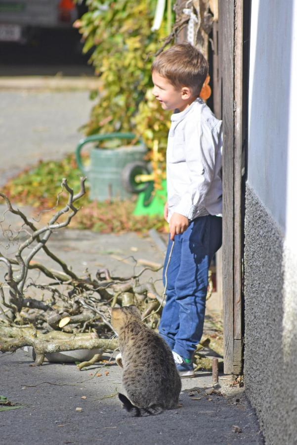Am Jaukhof Familie Stiendl Séjour à la ferme *